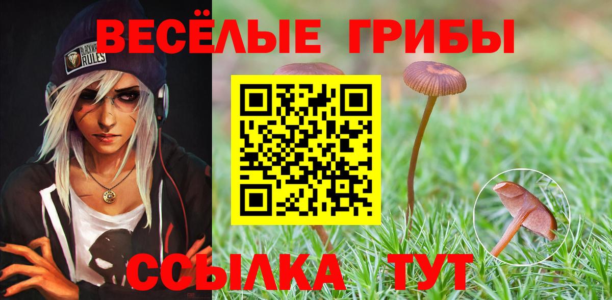 Галлюциногенные грибы GOLDEN TEACHER  Вход с VPN  Тавда 