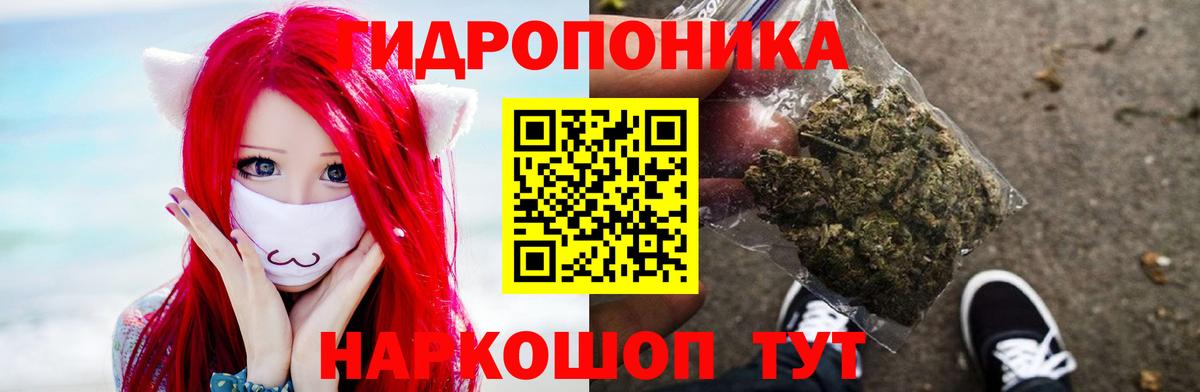 Конопля планчик  Бошки Шишки LSD WEED  Тавда  Шишки марихуана OG Kush  Вход с VPN 